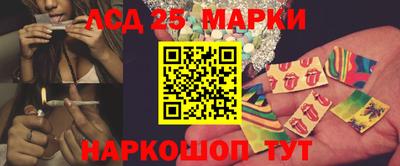 spice Заволжье